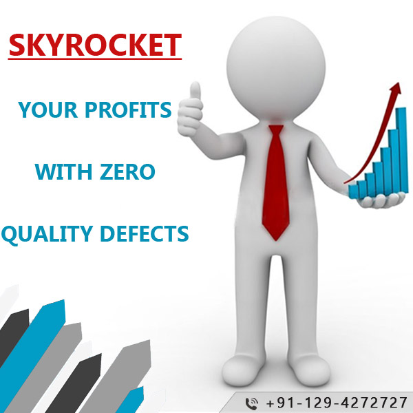 Skyrocket Your Profits With Zero Quality Defect